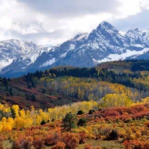 Colorado State