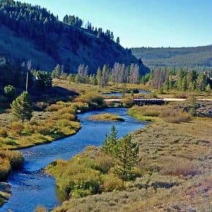 Idaho State