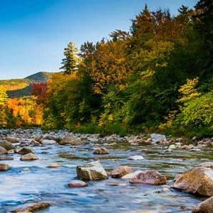 New Hampshire State