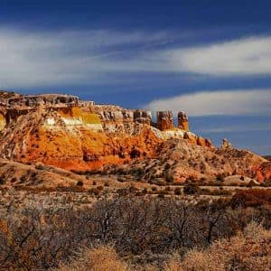 New Mexico State