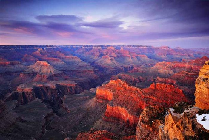 Arizona State