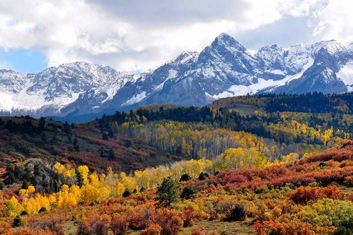 Colorado State