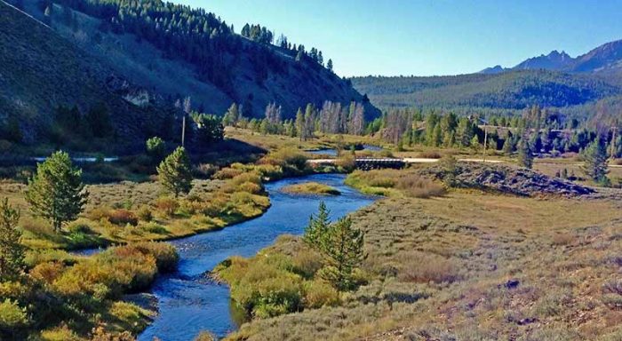 Idaho State