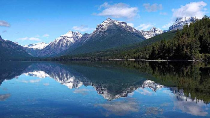 Montana State