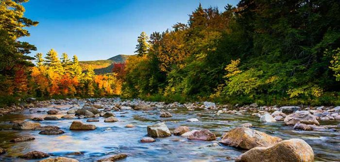 New Hampshire State