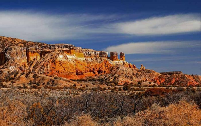 New Mexico State
